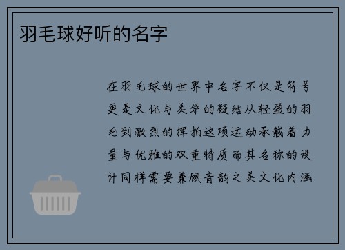羽毛球好听的名字